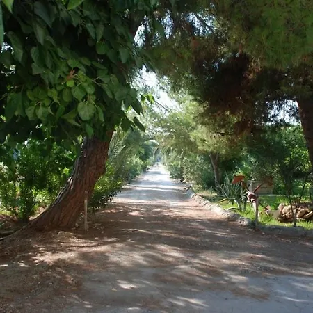 Punta Milocca Apartment